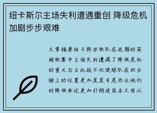 纽卡斯尔主场失利遭遇重创 降级危机加剧步步艰难